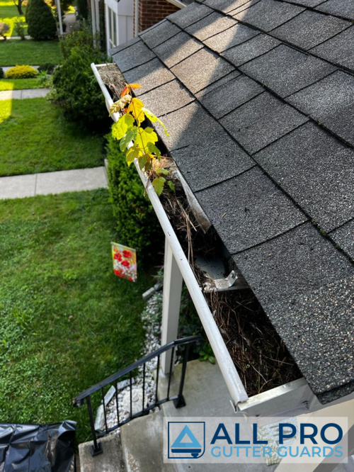 All Pro Gutter Guards: All Pro Gutter Guards Newtown Gutters contractor