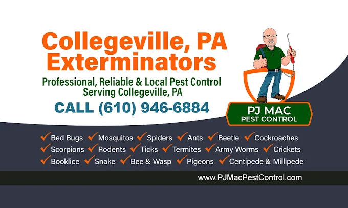 PJ Mac Pest Control: unnamed