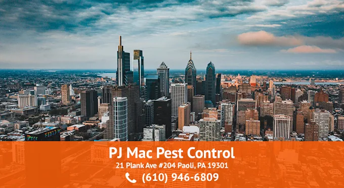 PJ Mac Pest Control: unnamed