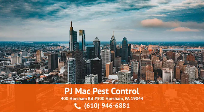 PJ Mac Pest Control: unnamed