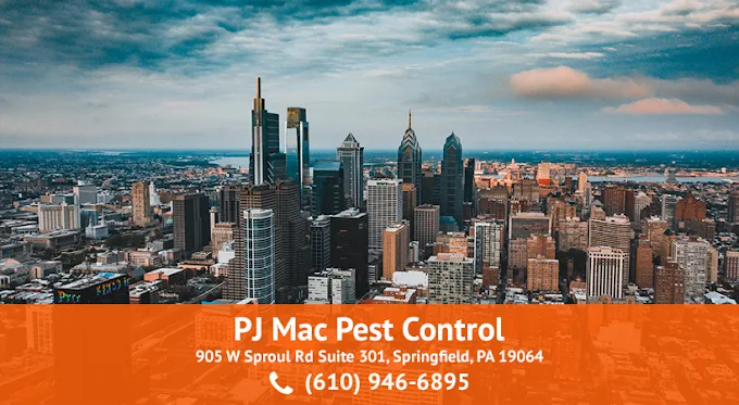 PJ Mac Pest Control: unnamed